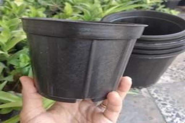 تصویر 1 از قیمت گلدان پلاستیکی سطل ۳ + خرید بدون واسطه